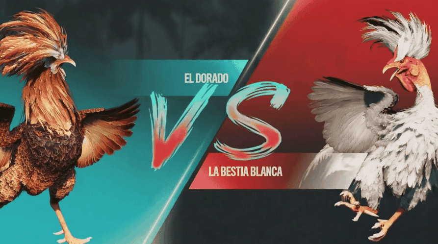 m9 Login na Plataforma Online